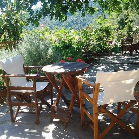 Villa Panayiota Alonnisos Town Bagian luar foto