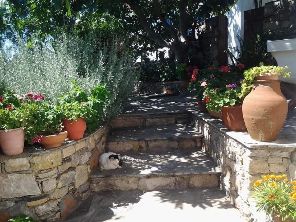 Villa Panayiota Alonnisos Town Bagian luar foto