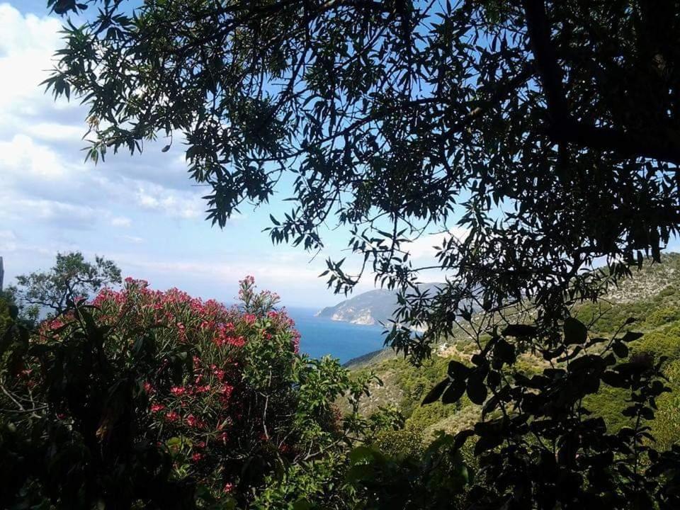 Villa Panayiota Alonnisos Town Bagian luar foto