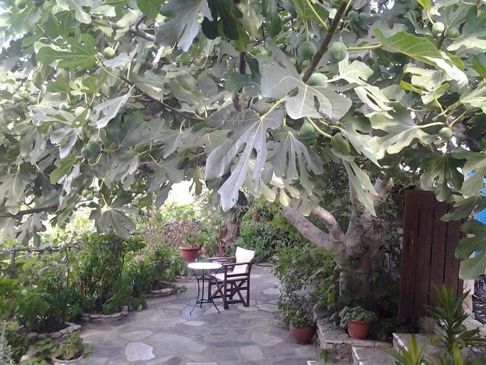 Villa Panayiota Alonnisos Town Bagian luar foto